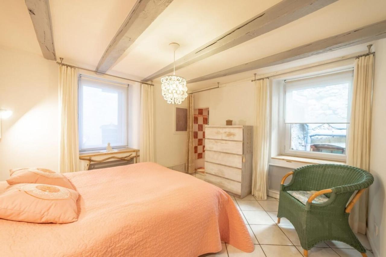 Apartment Classified 3 Stars Located In The Heart Of The Old Town 阿讷西 外观 照片
